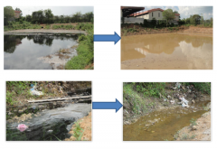 同时也是全国为数不多的