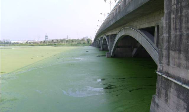 加快推动长江干线重点河段航道整治工程建设