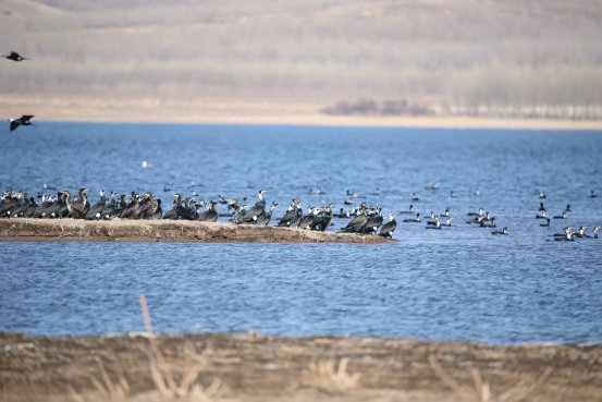 加大水生态产品价值转化力度