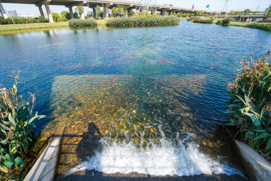 全面推进长江流域美丽河湖保护与建设