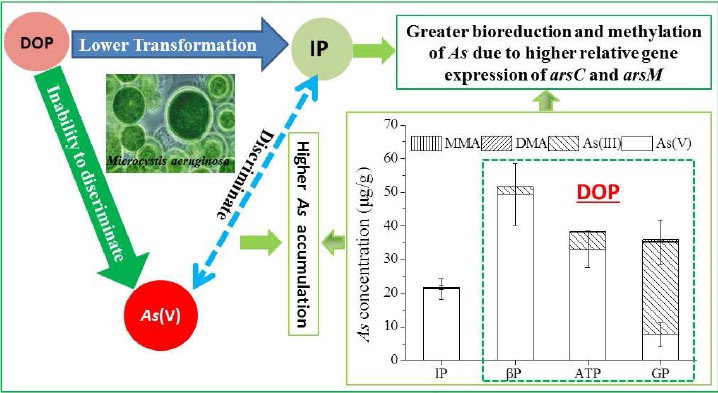 申请澎湃号请用电脑访问
