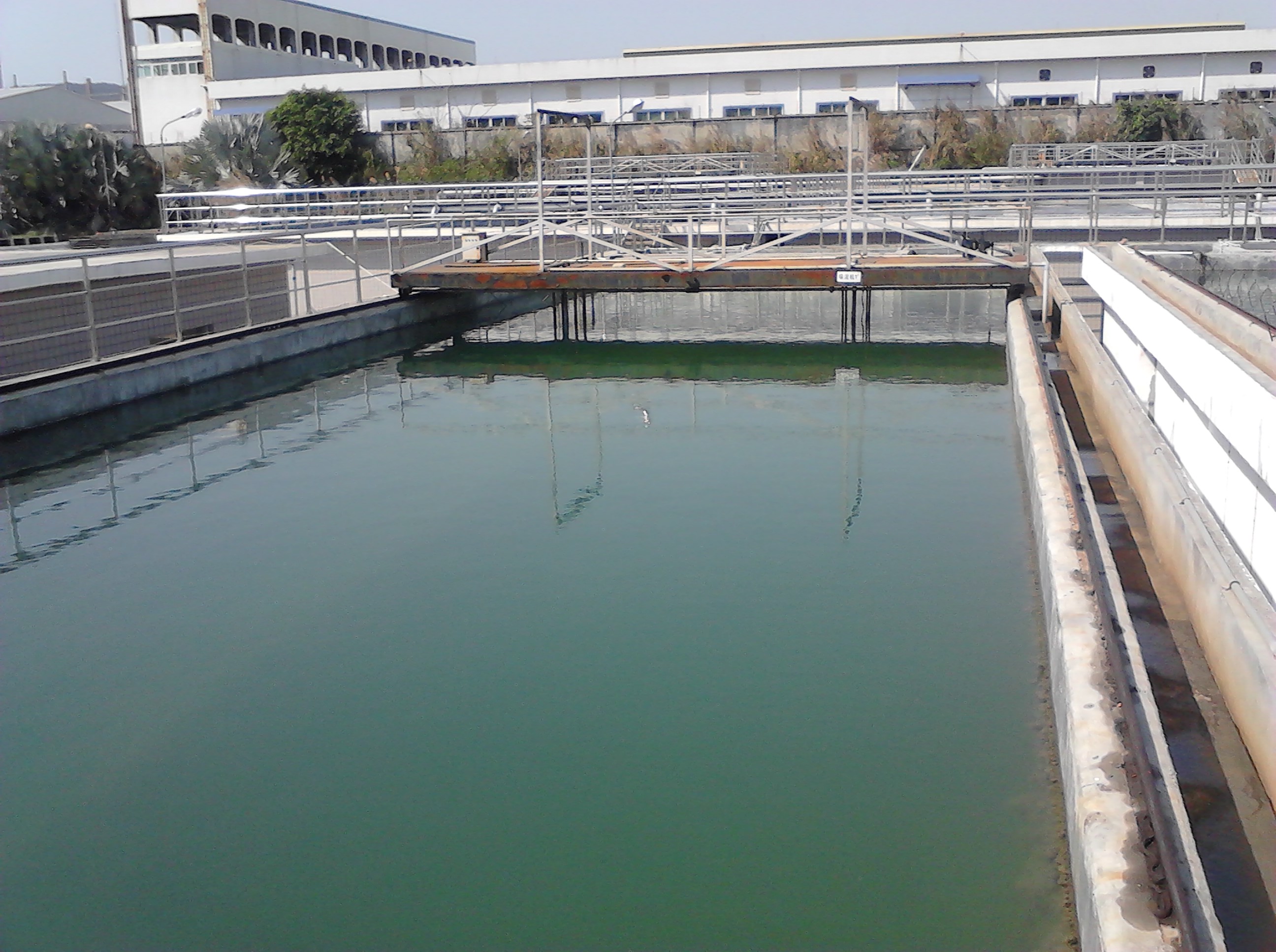 厂内第四座厂房的路面存在大面积紫红色废水