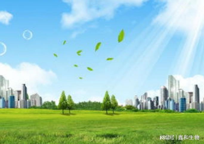 打造绿色低碳生产环境