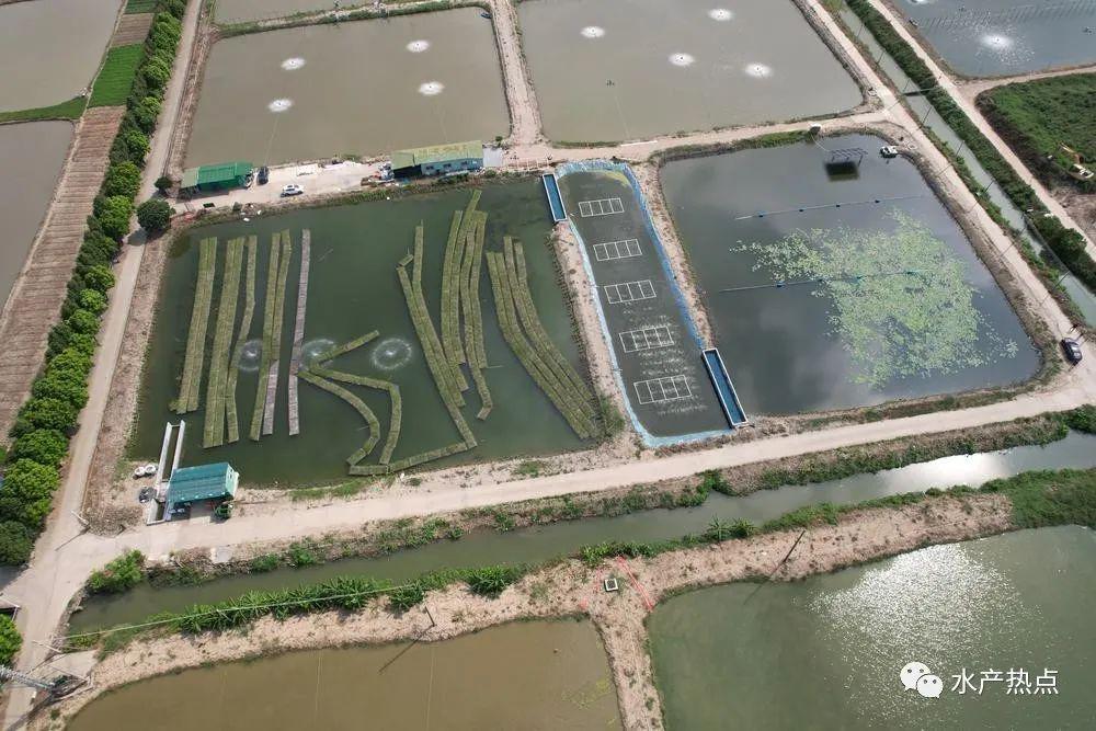 部署开展非法倾倒处置固体废物、生活垃圾填埋场环境污染隐患、建筑垃圾、历史遗留固体废物堆存场所、磷石膏等5项专项整治