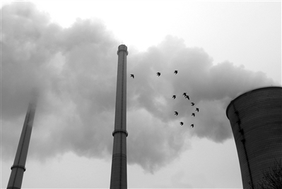 全媒体记者 杨贯 通讯员 张应沛 俞炯