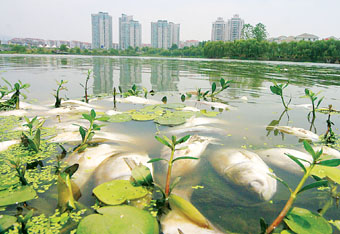 调查评价成果是编制地下水资源保护利用和污染防治等规划以及管理地下水资源的重要依据