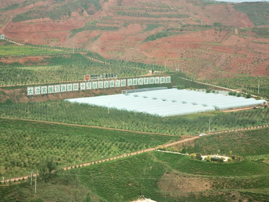 促进生态系统保护和修复