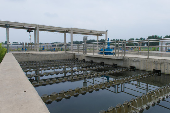 美国总统特朗普表示