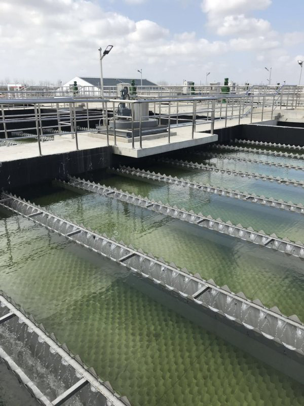 公民、法人和其他组织依法享有获取环境信息、参与和监督环境保护的权利