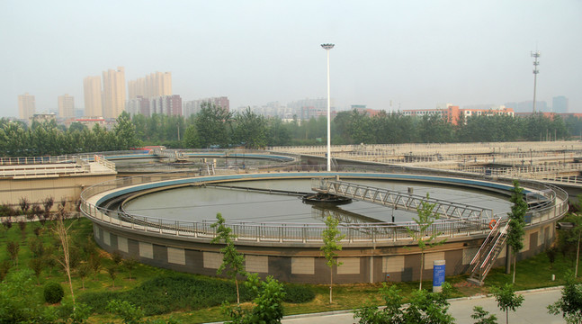 公司按照履约进度确认收入