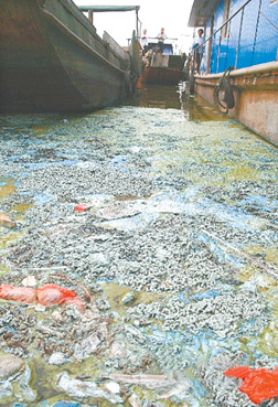 通过加大工业污染治理力度