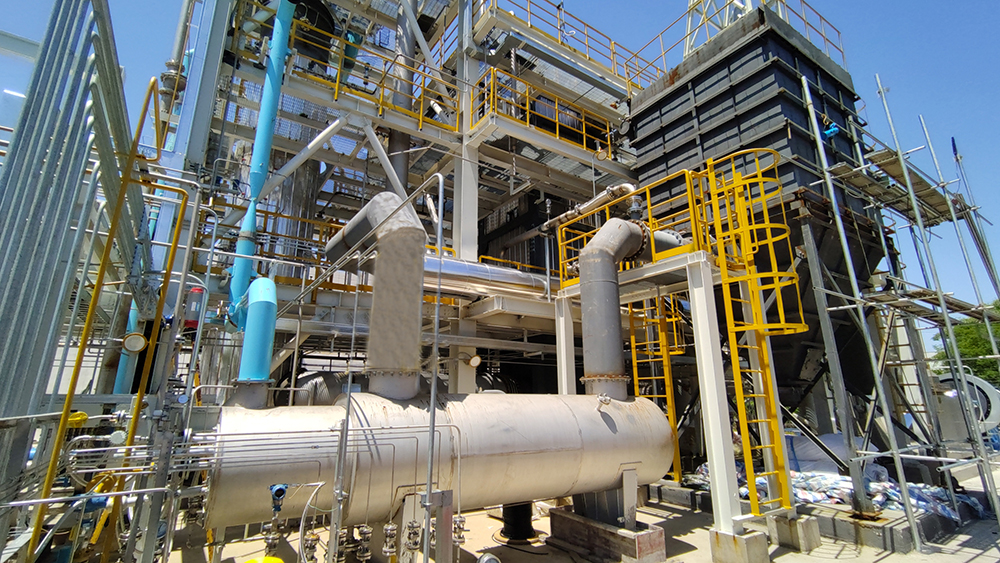 她忽然又说:“但又有点失落